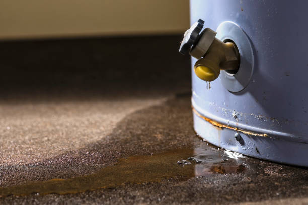Best Water damage contractors near me  in Lliams Bay, WI