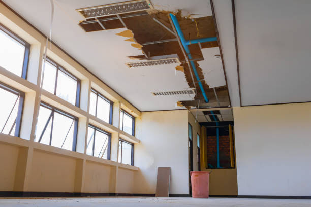 Best Water damage mitigation services  in Lliams Bay, WI