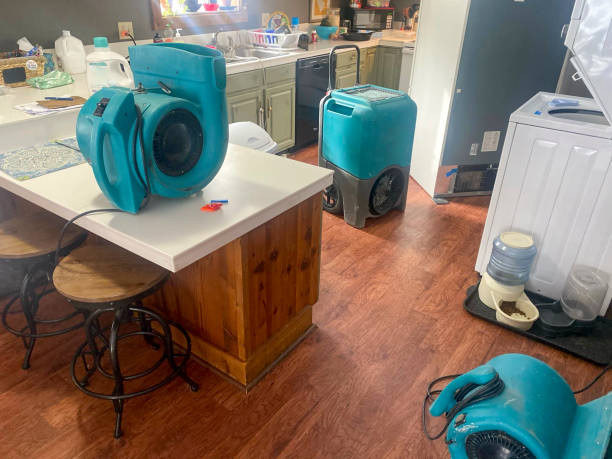 Best Basement water damage restoration  in Lliams Bay, WI