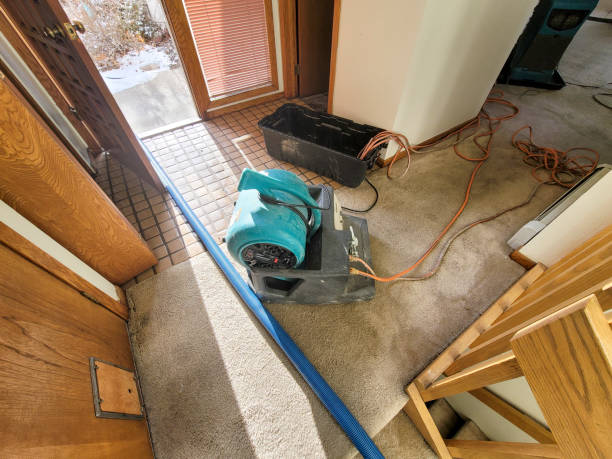 Best Local water damage restoration  in Lliams Bay, WI