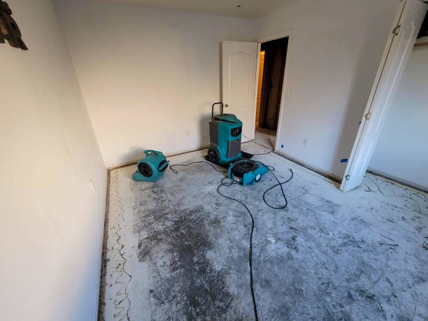 Best Flooded house restoration  in Lliams Bay, WI