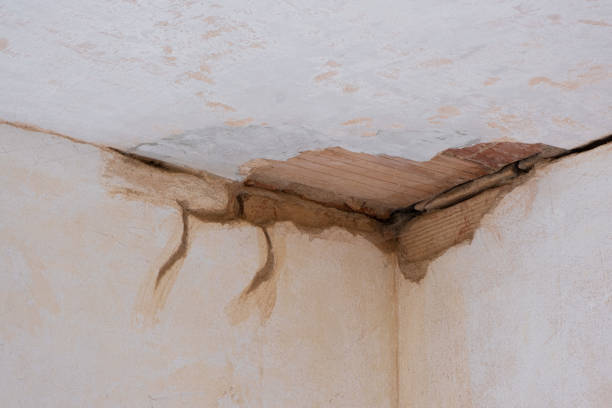 Best Water damage restoration experts  in Lliams Bay, WI