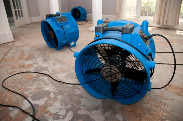 Best Flooded house restoration  in Lliams Bay, WI