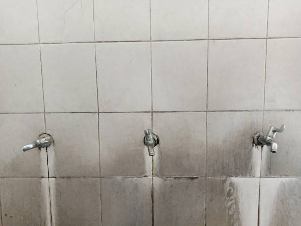 Best Commercial water damage restoration  in Lliams Bay, WI