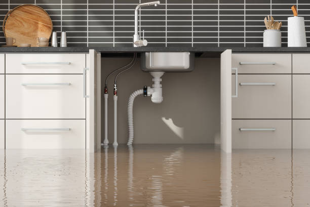 Best Fire Damage Restoration  in Lliams Bay, WI