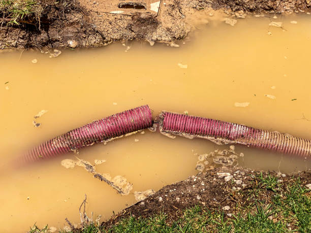 Best 24/7 water damage repair  in Lliams Bay, WI