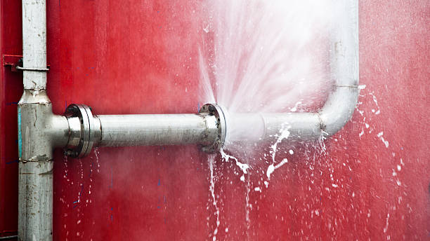 Best Water damage restoration near me  in Lliams Bay, WI
